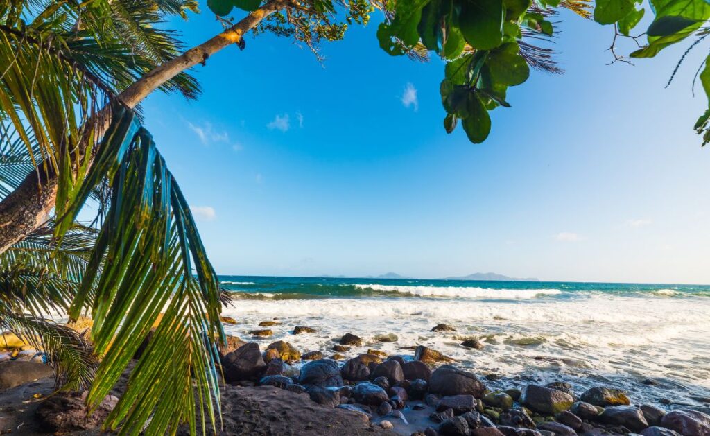 Plage de Grande-Anse guadeloupe - SIXT