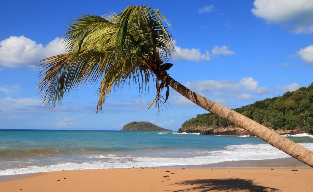 Plage de la Perle Guadeloupe - SIXT