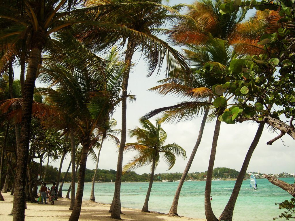 plage de la caravelle en Guadeloupe