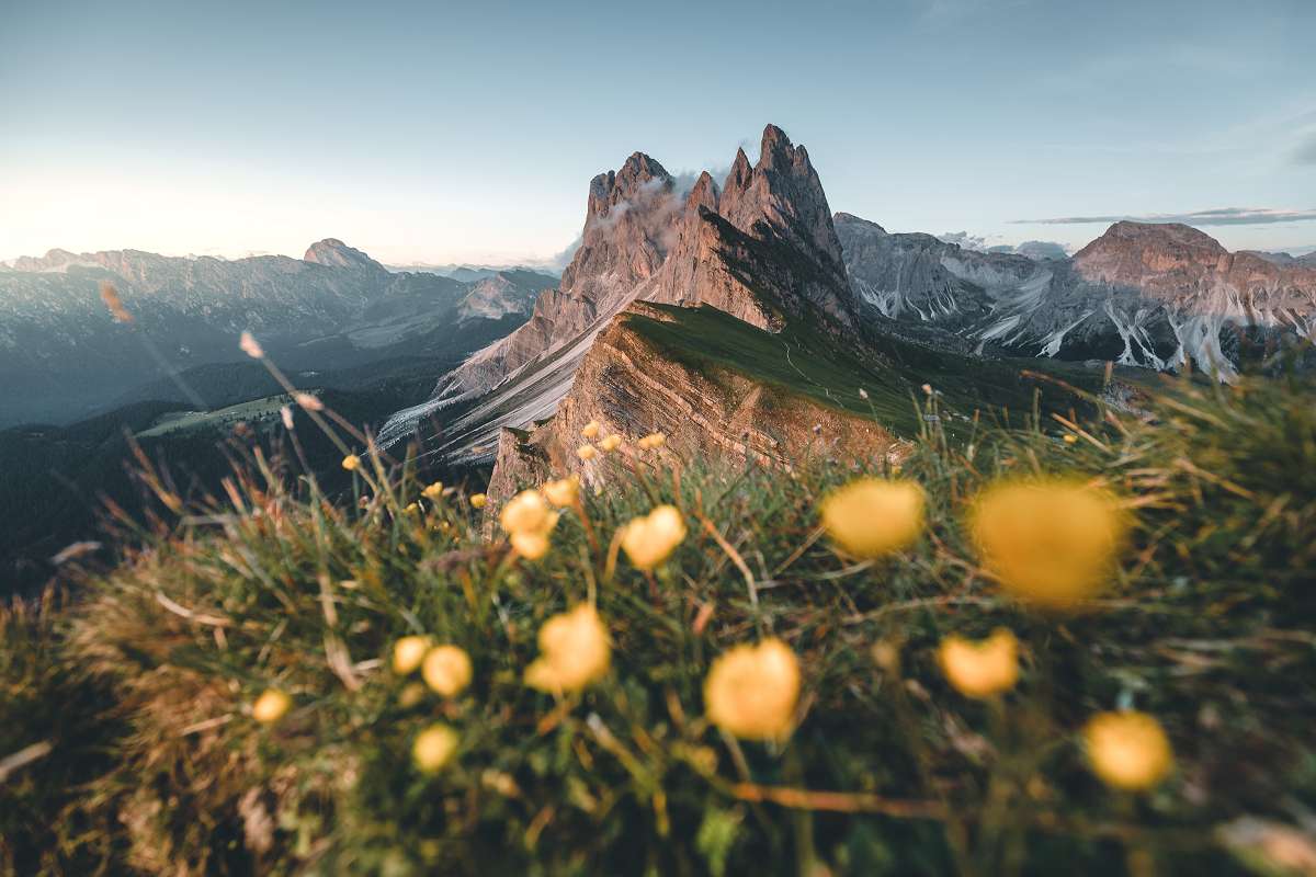 Seceda dolomites