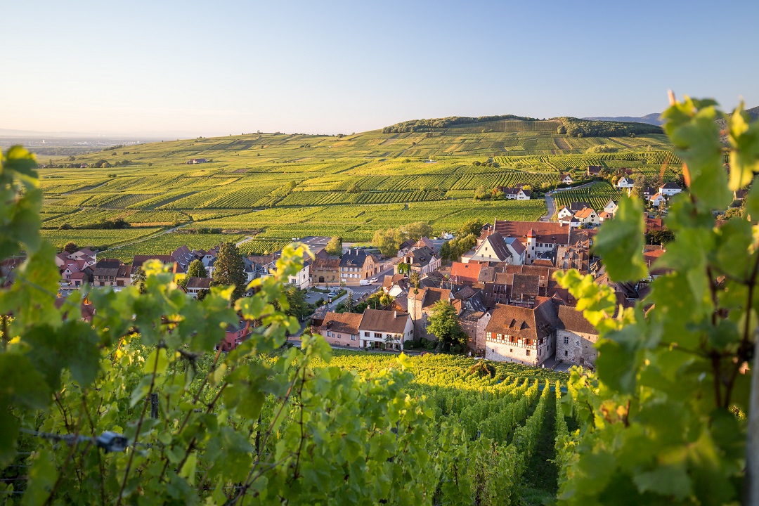 les-plus-belles-routes-du-vin-en-france-alsace-riquewihr