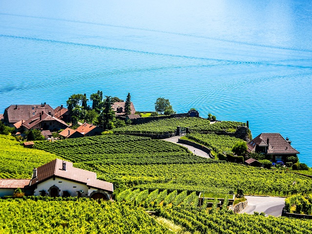 road-trip-lac-leman-lavaux-vignoble