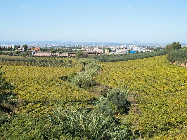 Les routes des vins de la France et de l'Italie - Mordus d'Italie