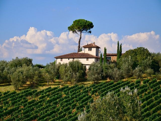 vin-italie-toscane