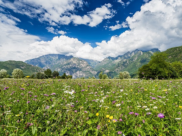 vin-italie-valtellina