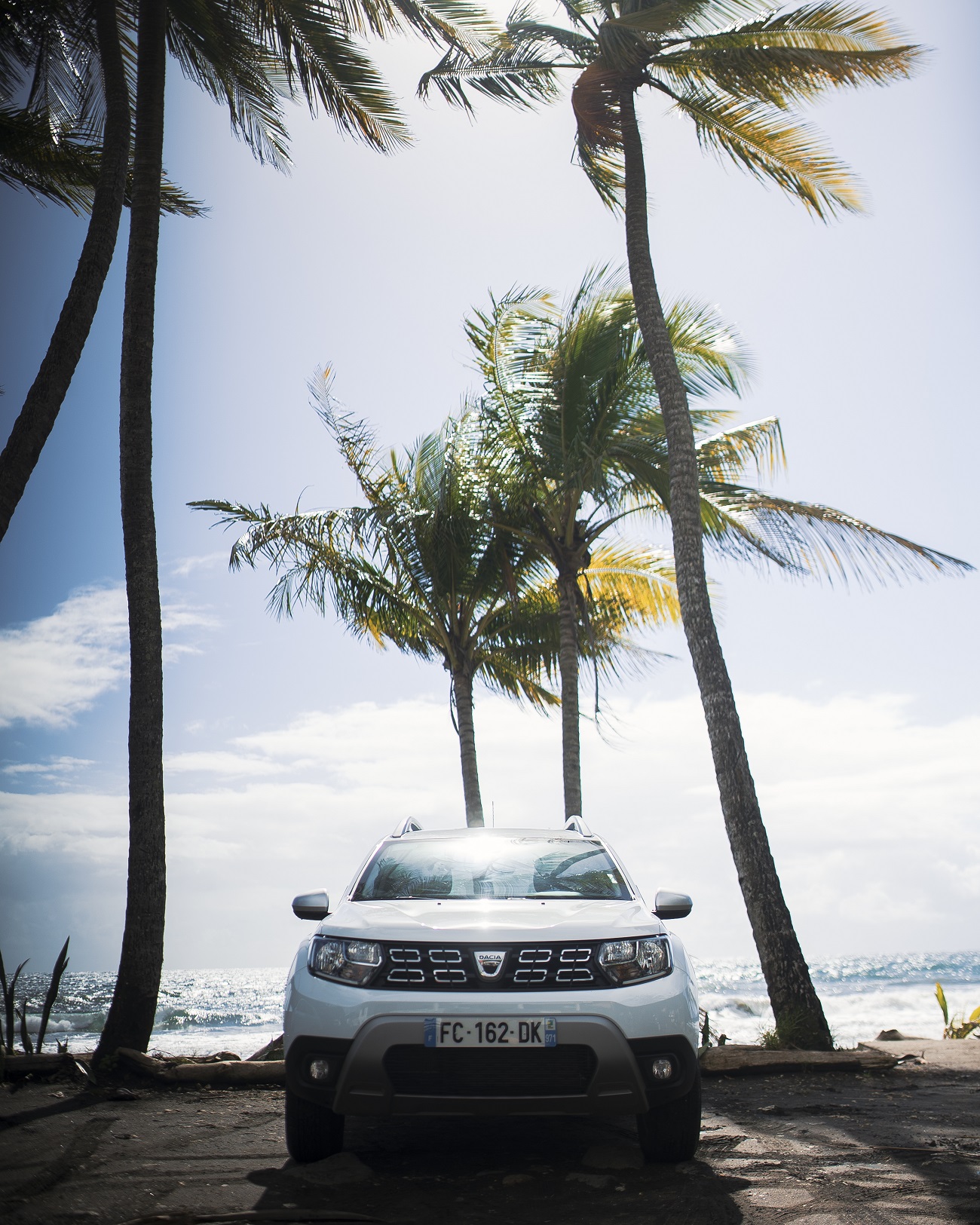 voiture sous les palmiers