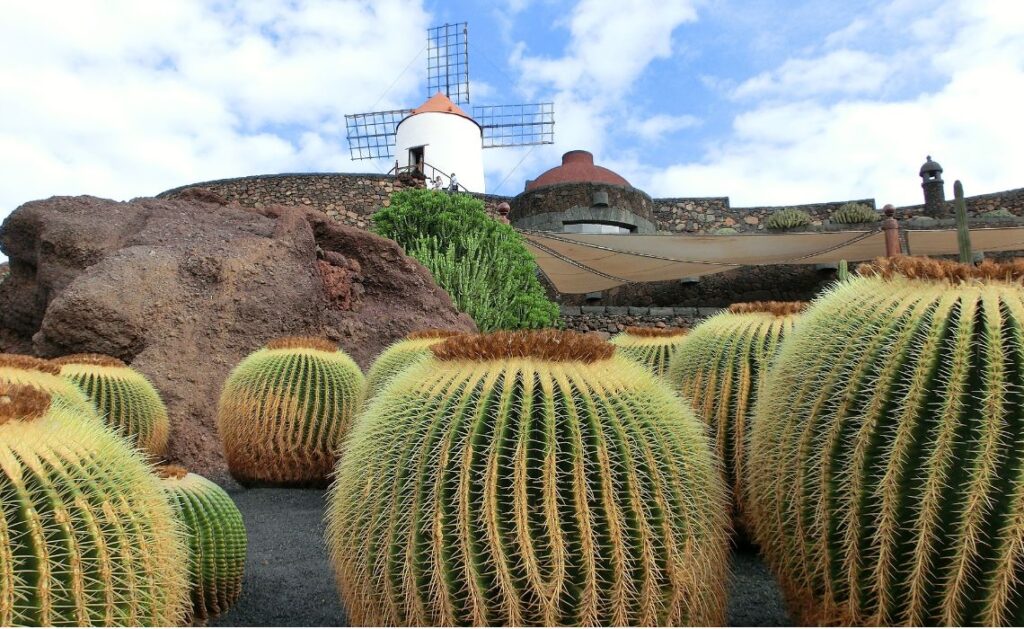 que faire a lanzarote jardin de cactus