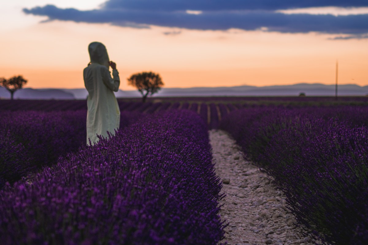 les-plus-beaux-endroits-de-provence-valensole-lavande