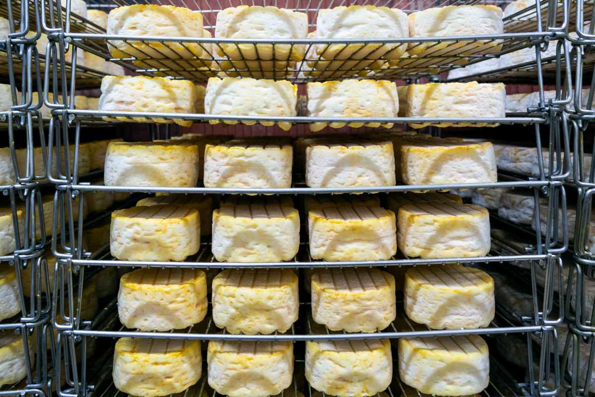 week-end-gourmand-normandie-camembert