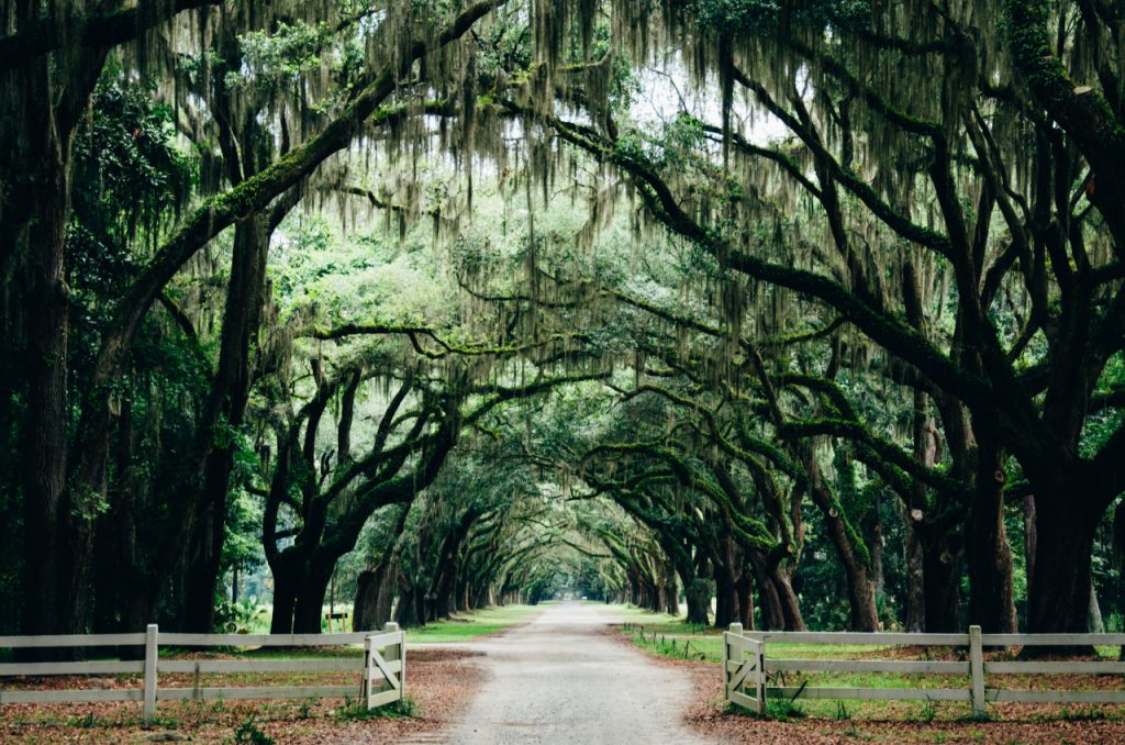 Savannah (Géorgie), une belle petite ville américaine