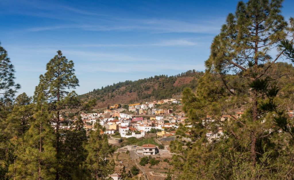 villafe vilaflor tenerife