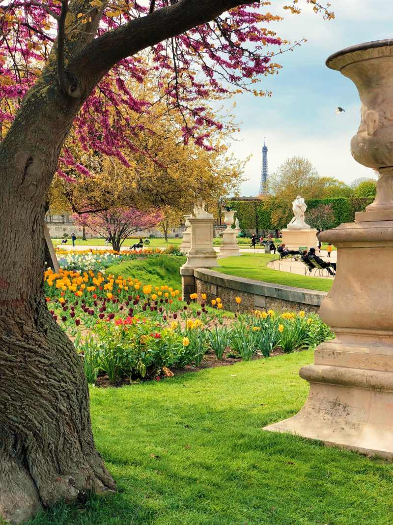 Les jardins à la française des Tuileries