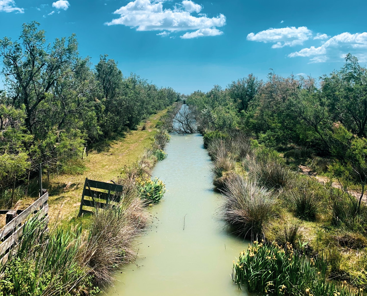 Parc de Camargue France