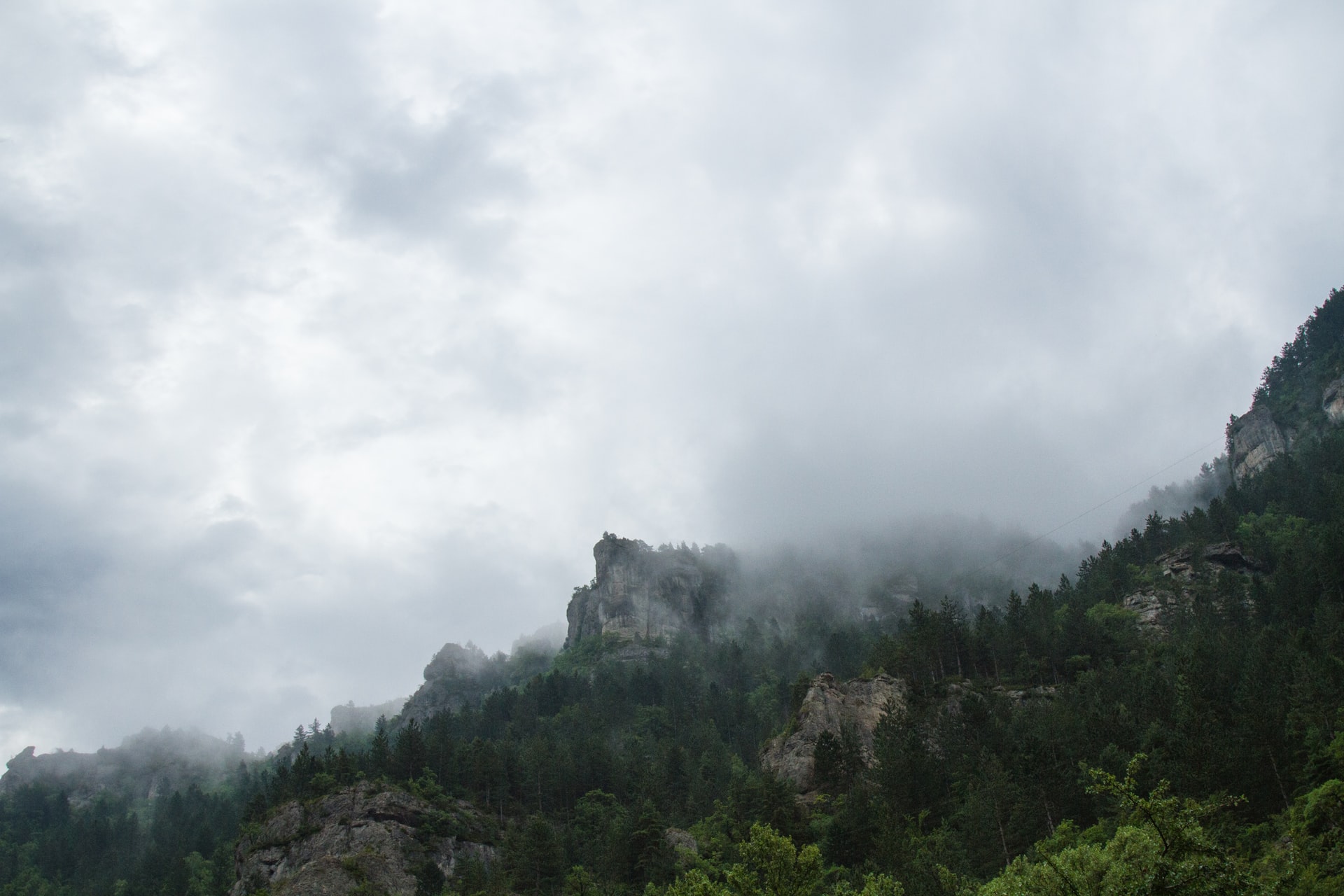 parc national des Cévennes france