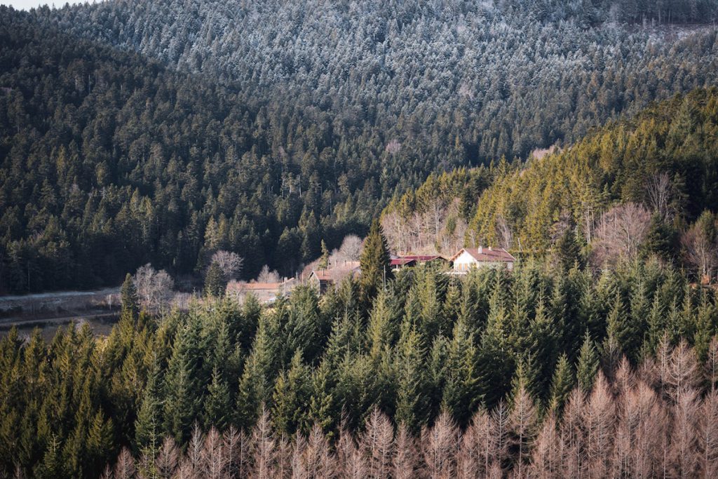 Le massif du Pilat