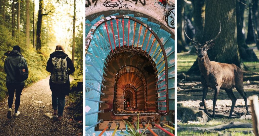 randonneur, basilique à Paris et cerf à Rambouillet
