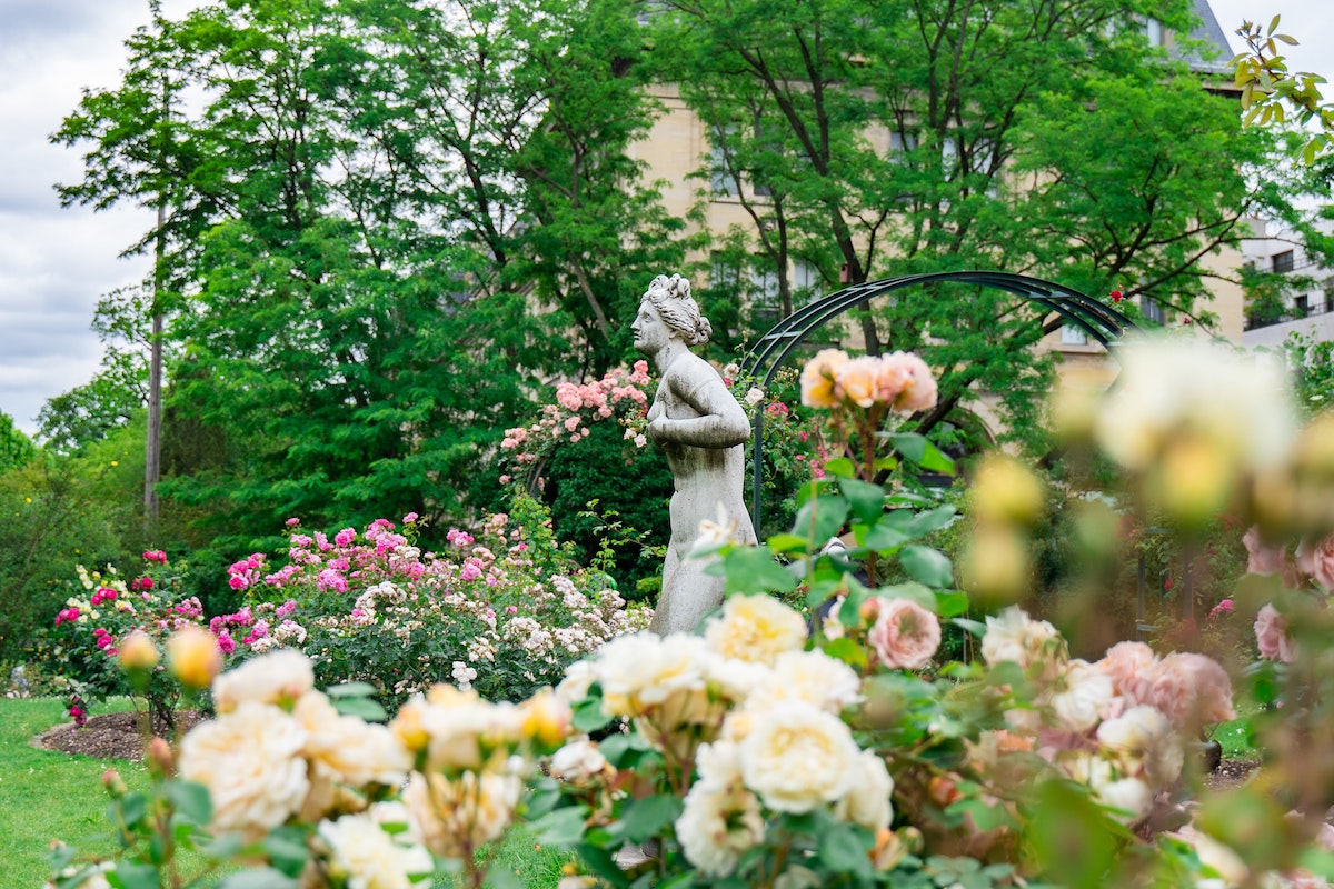 Jardin des plantes à Paris