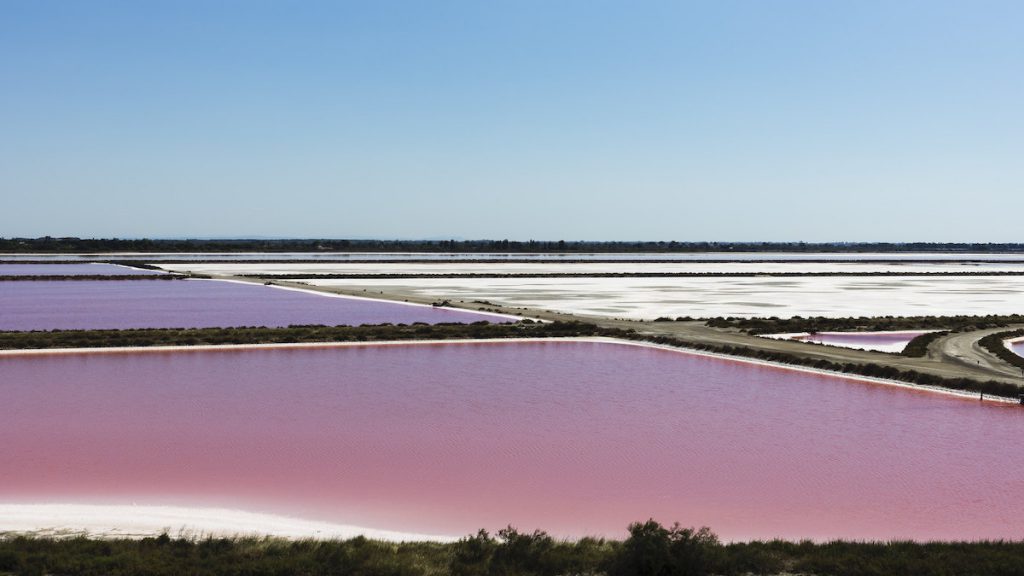 Les salins à la couleur rose entre Aigues-Mortes et le Grau-du-Roi en Camargue