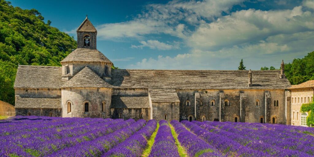 abbaye de senanques