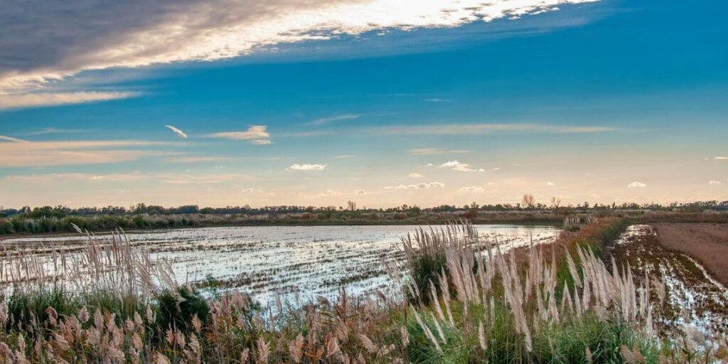 marais salants road trip en camargue