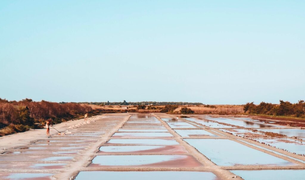 Tour des marais salants ile de ré