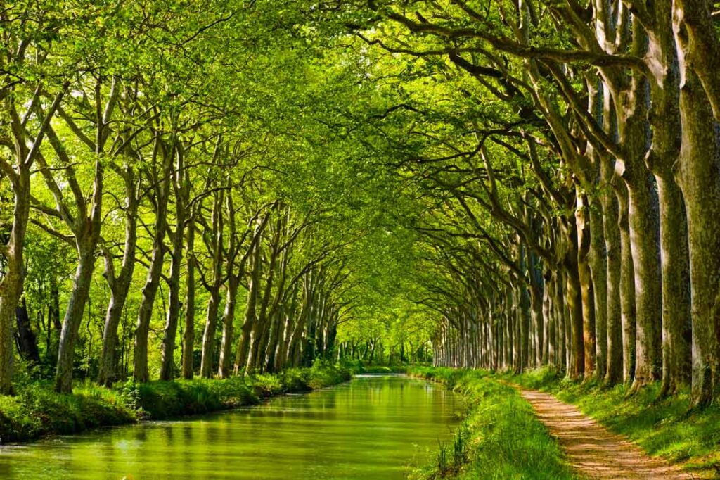 canal du midi a toulouse