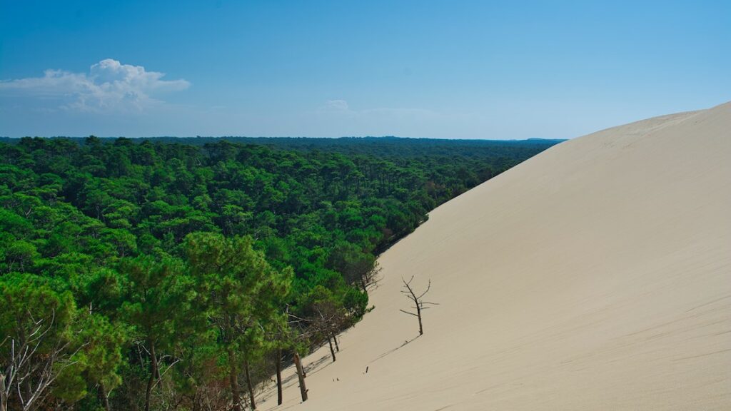 Découvrez la magnifique dune du pilat lors de votre week-end en Nouvelle Aquitaine - SIXT