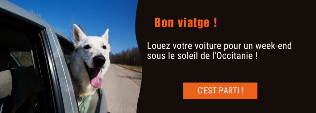 Bon voyage Voyagez détendu, louez une voiture - SIXT