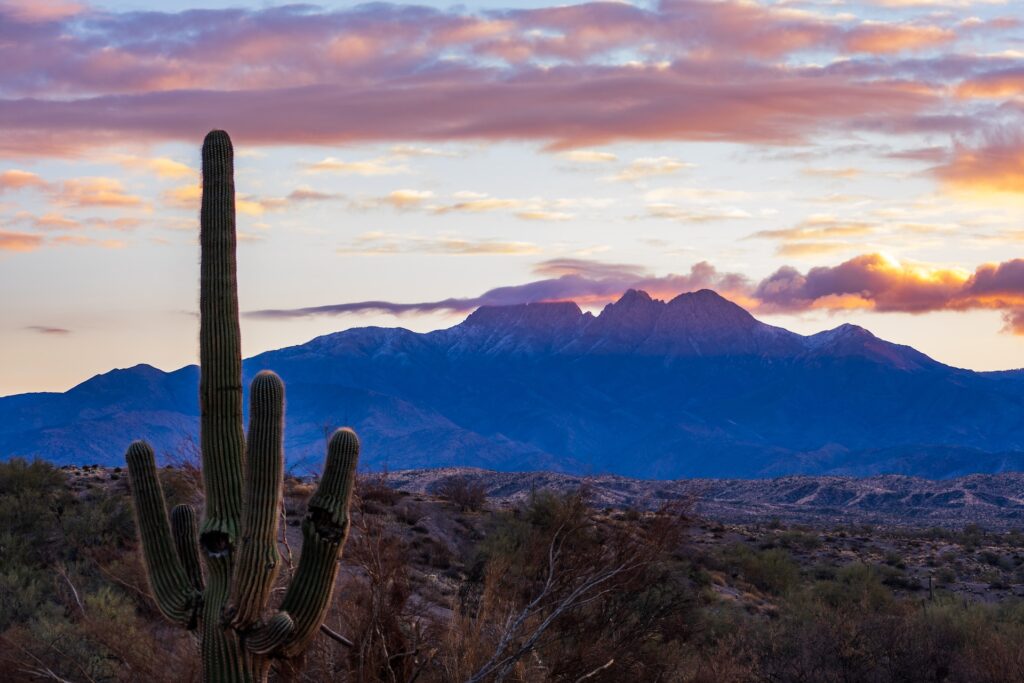 Profitez des points de vue depuis la Tonto National Forest lors d'un road trip Arizona - SIXT