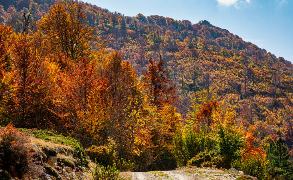 L'île de beauté est encore plus belle lors de vacances en automne ! - SIXT