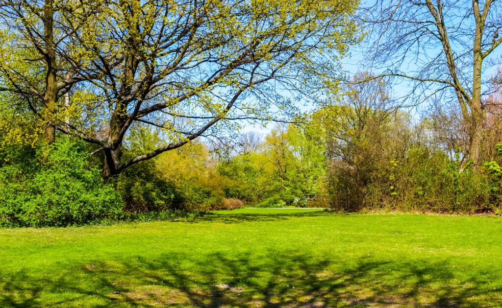 Le jardin du Tiergarten à Berlin - SIXT