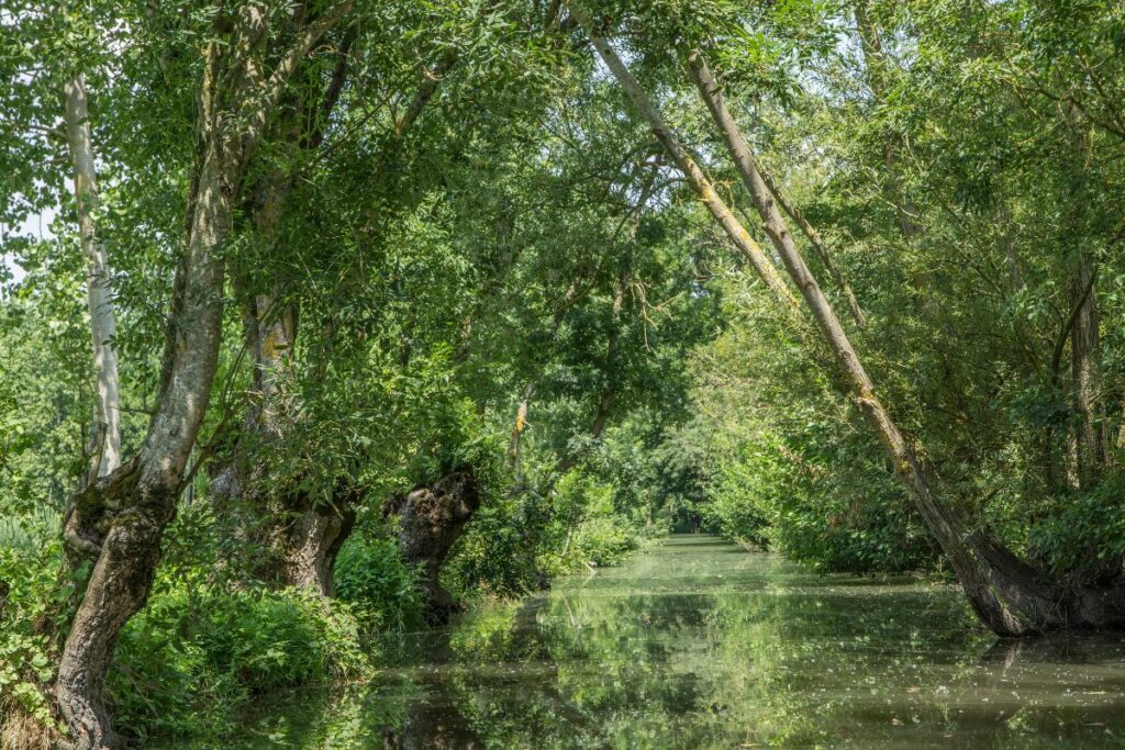 Mettez-vous au vert au cœur du Marais poitevin - SIXT