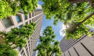 Les meilleurs sites naturels dans les villes les plus fréquentées du monde