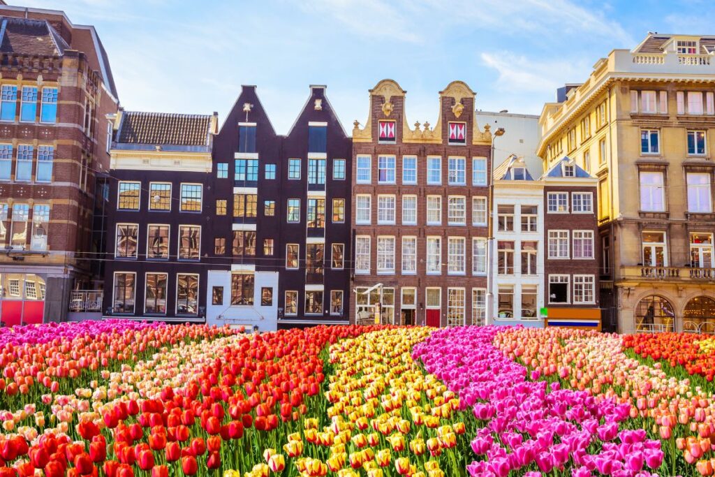 Balade entre tulipes et musées à Amsterdam lors d'un road trip aux Pays-Bas - SIXT
