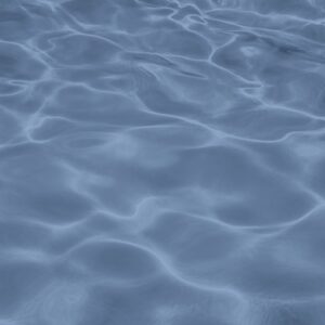 Lac de Grand-Lieu water texture